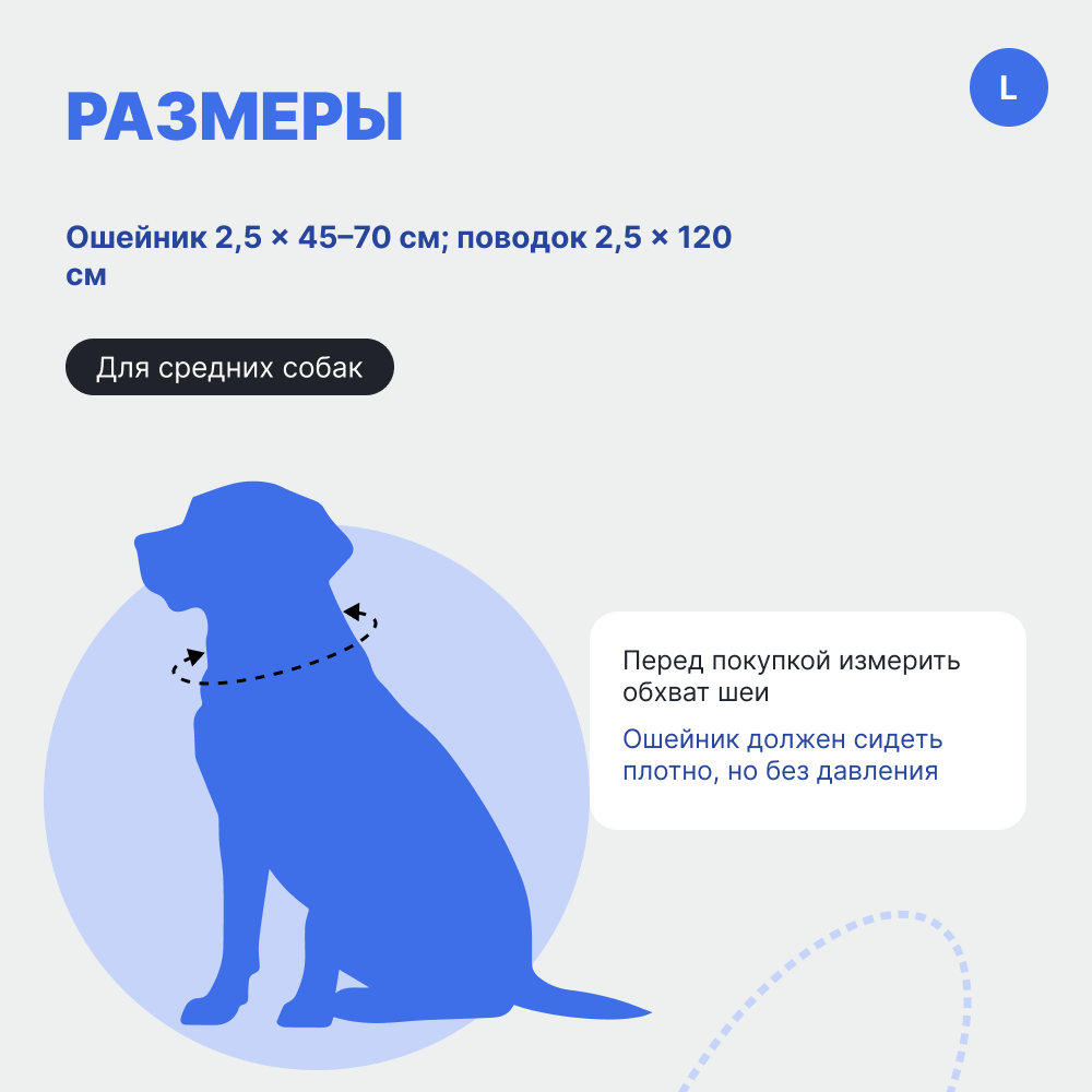 Ошейник и поводок для собак FOXIE Strong L разноцветные