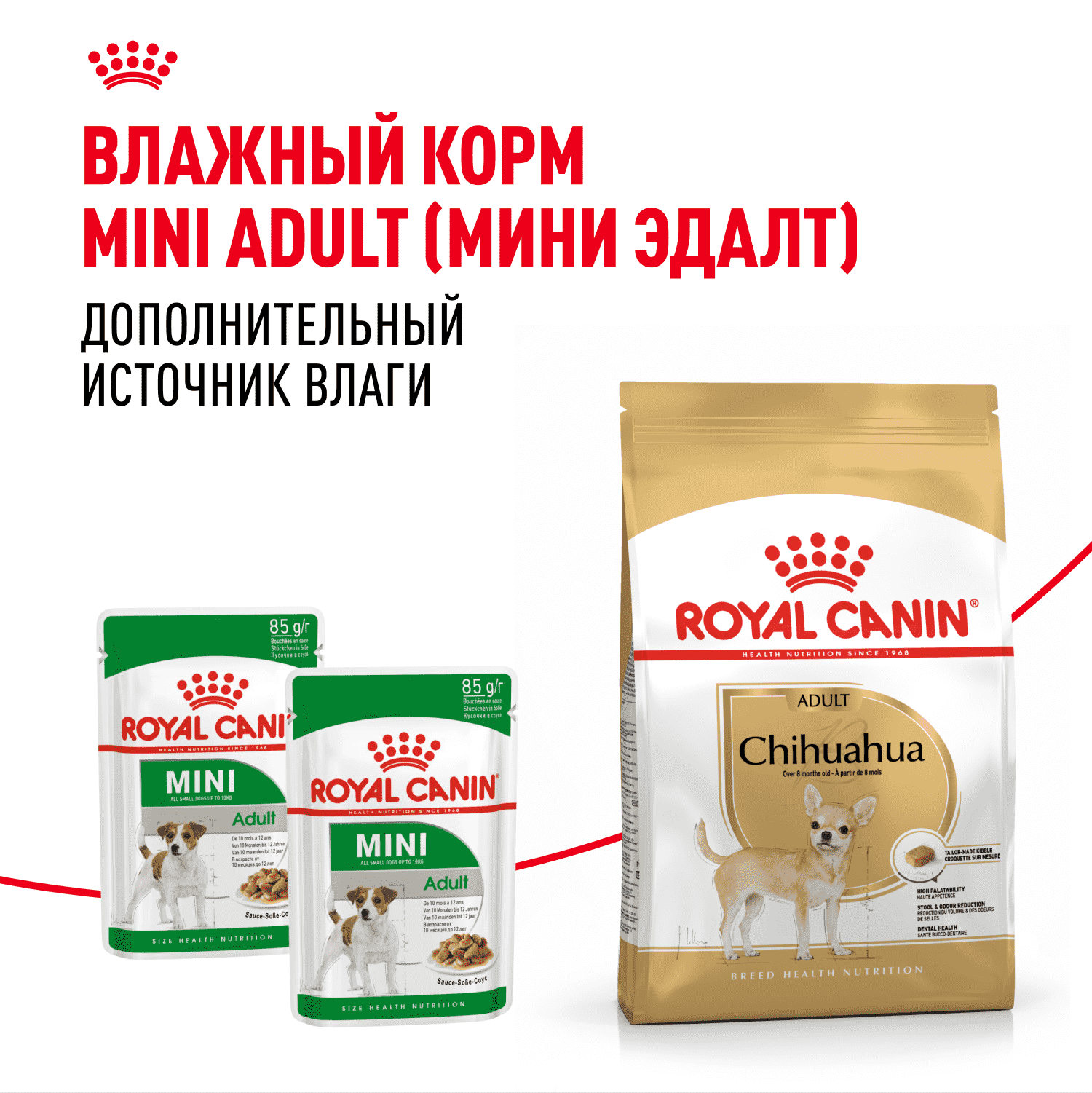 Корм для собак ROYAL CANIN Chihuahua Adult для породы чихуахуа от 8 месяцев сух.