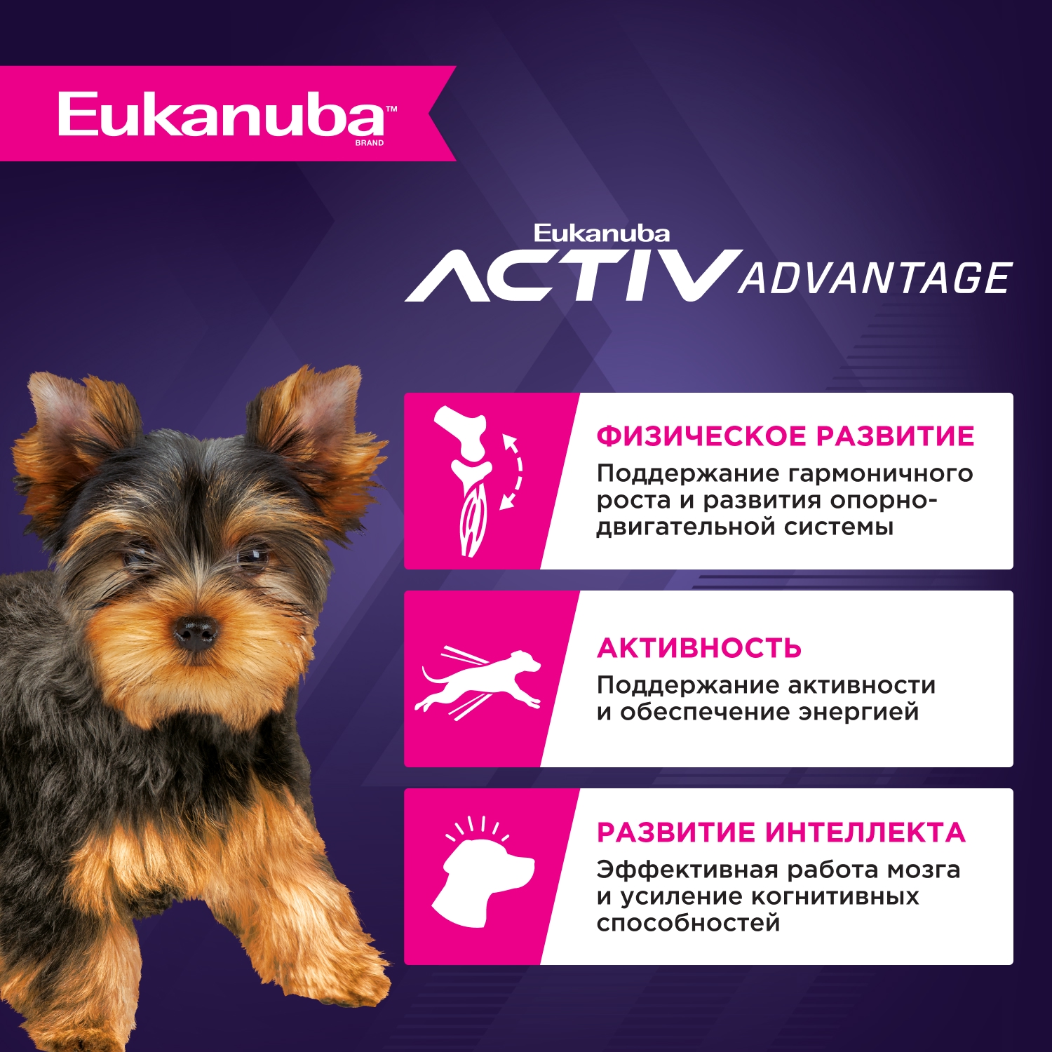 Корм для щенков EUKANUBA для миниатюрных пород сух.