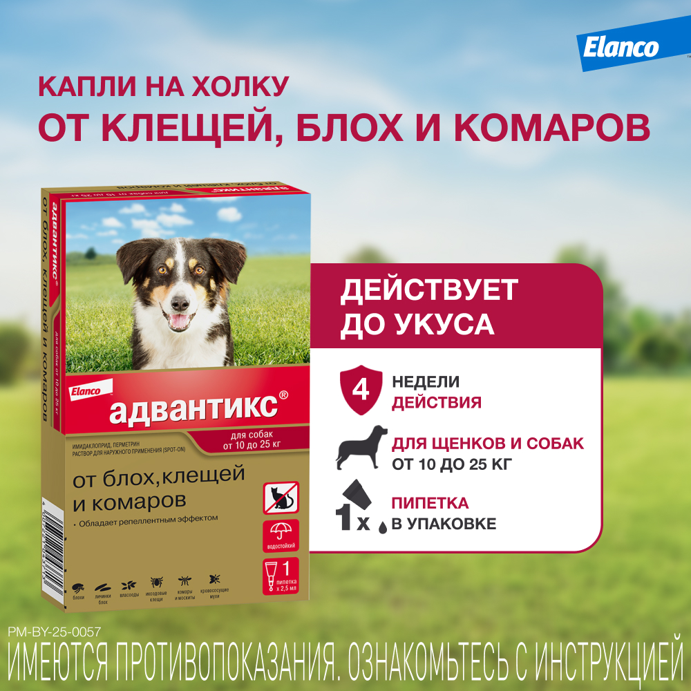 Капли для собак ELANCO Адвантикс от блох, клещей и комаров 250 (10-25кг веса) 1 пипетка в упак.
