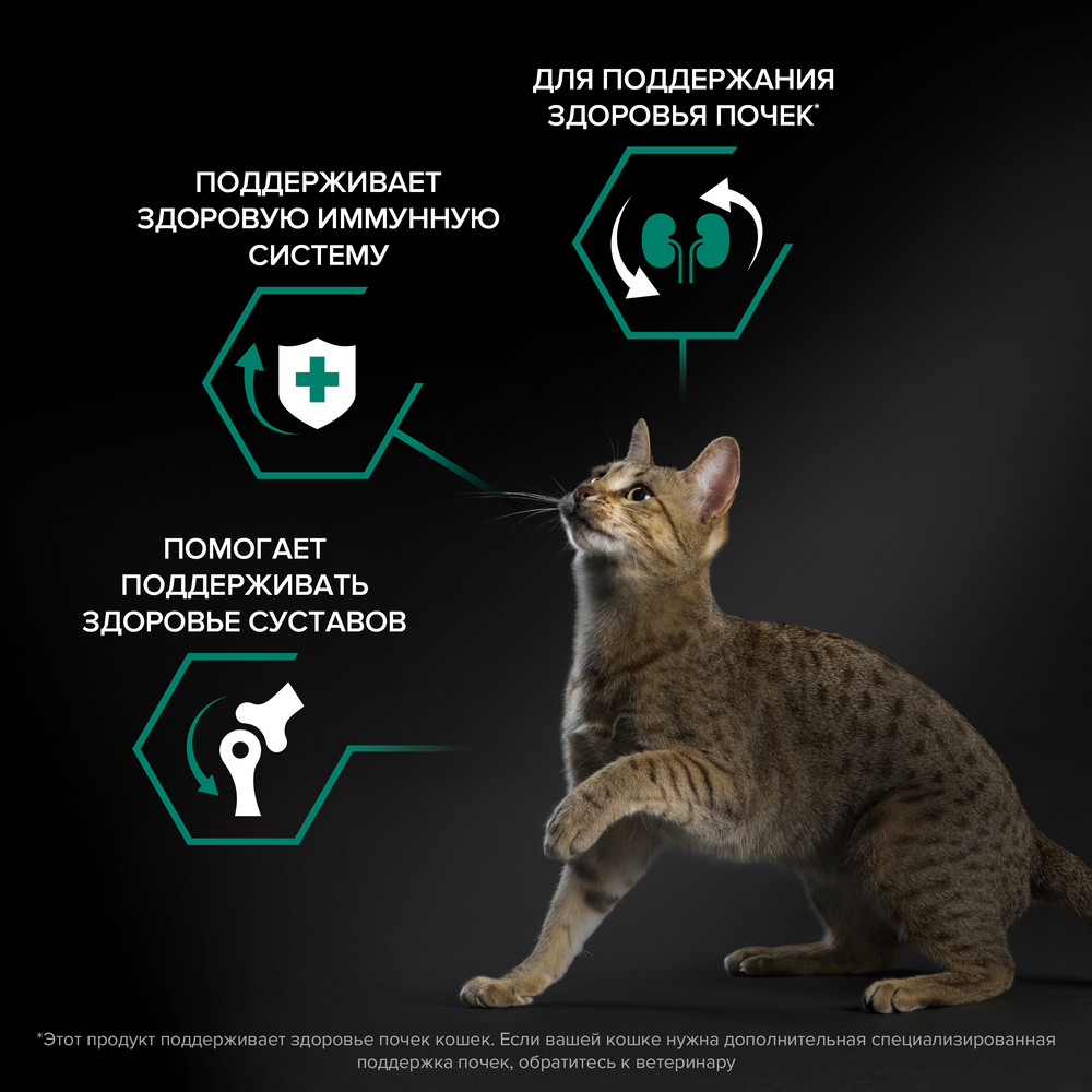 Корм для кошек PRO PLAN Renal Plus для поддержания здоровья почек, с курицей сух.