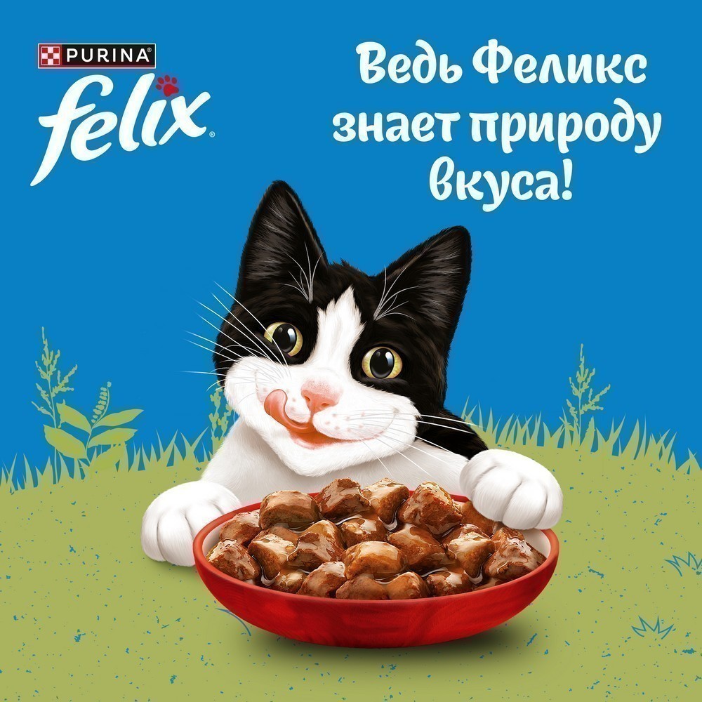 Корм для кошек FELIX Природа вкуса, с говядиной в соусе пауч