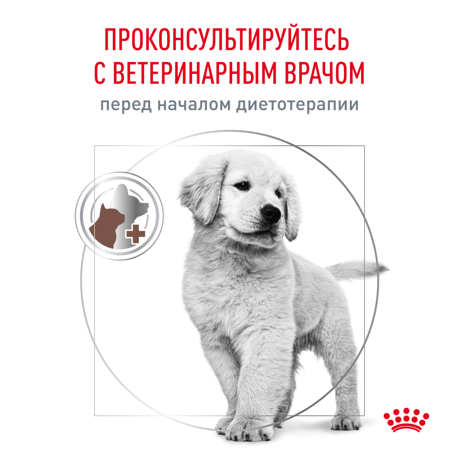 Корм для щенков ROYAL CANIN Gastrointestinal Puppy при расстройствах пищеварения сух.