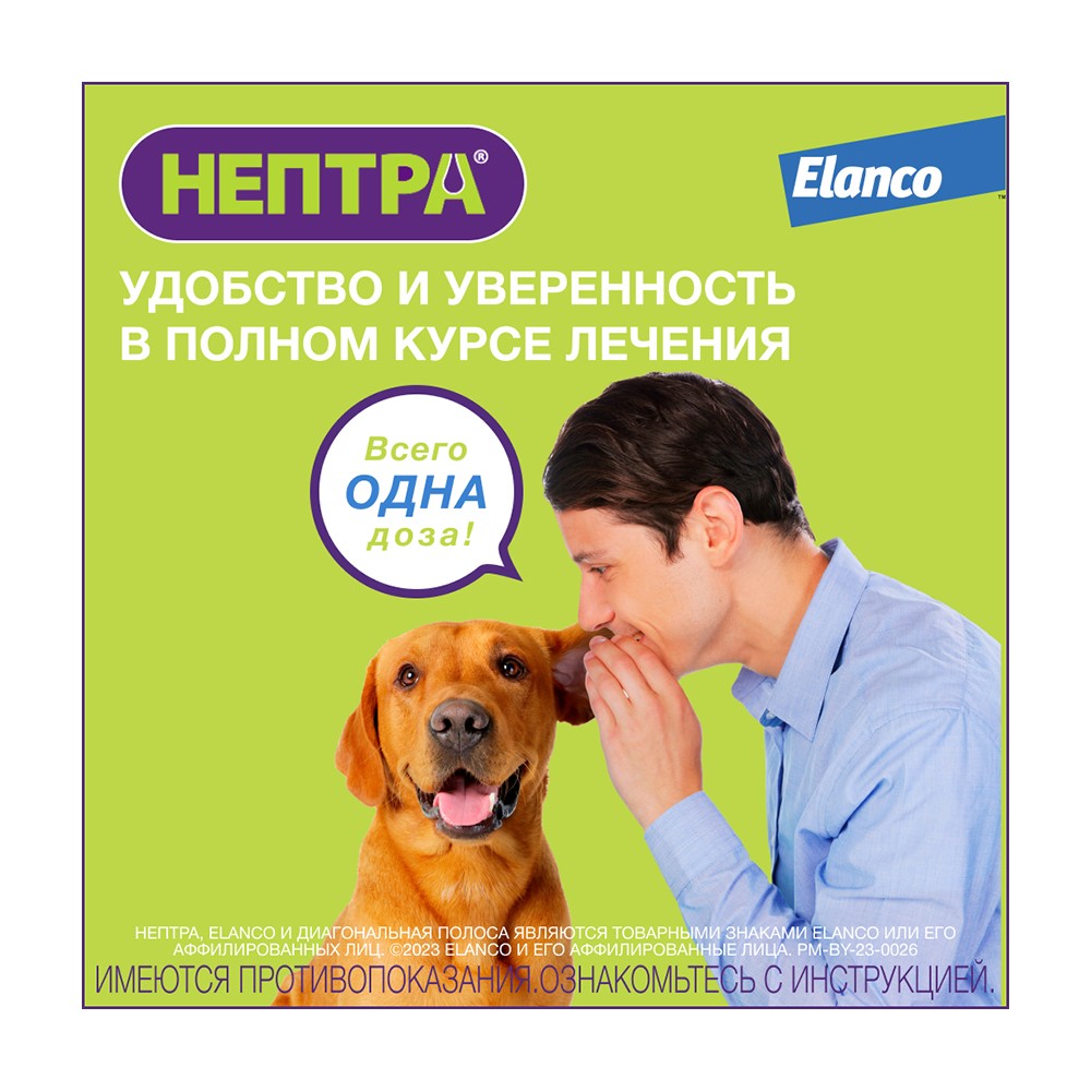 Раствор для собак ELANCO Нептра для лечения отита 2 пипетки 1мл (рецепт)