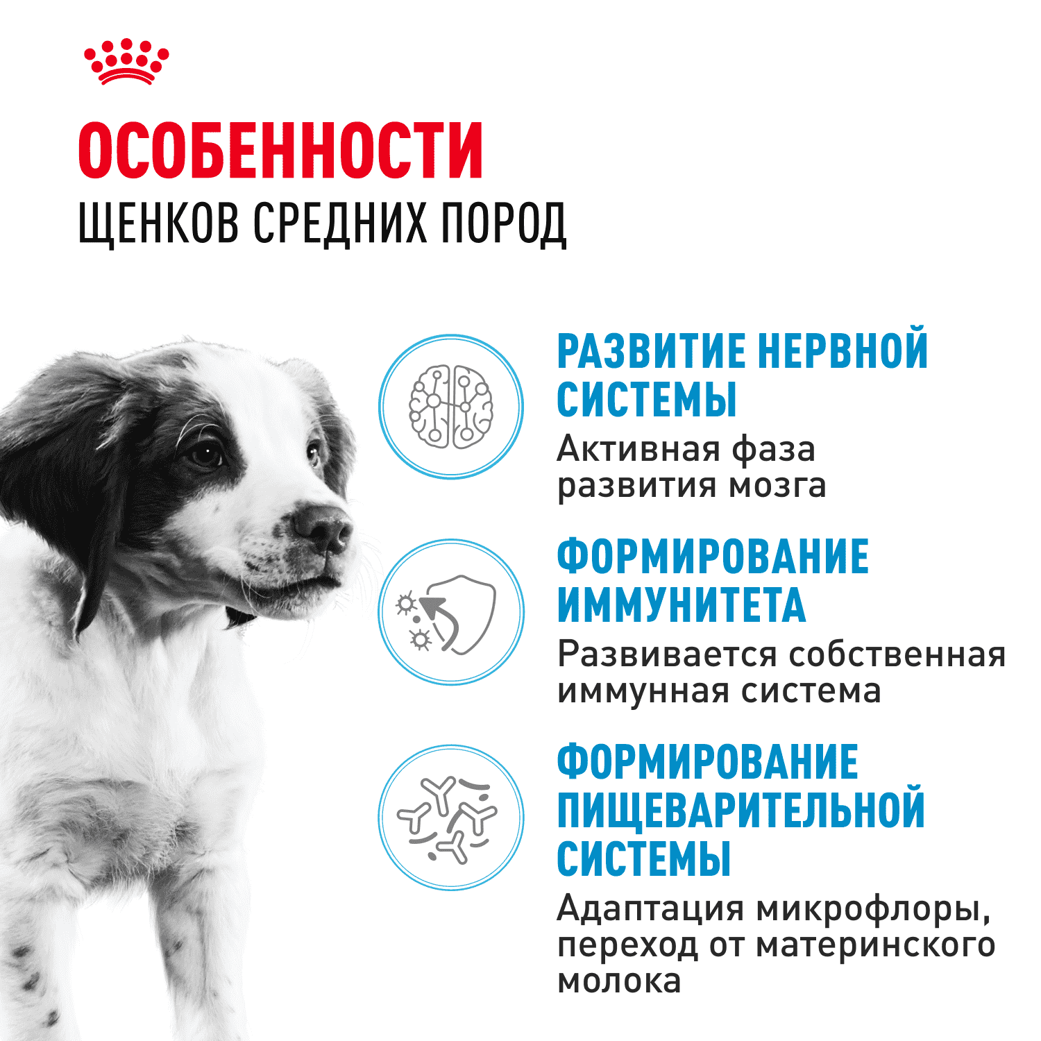 Корм для щенков ROYAL CANIN Medium Puppy для средних пород от 2 до 12 месяцев сух.