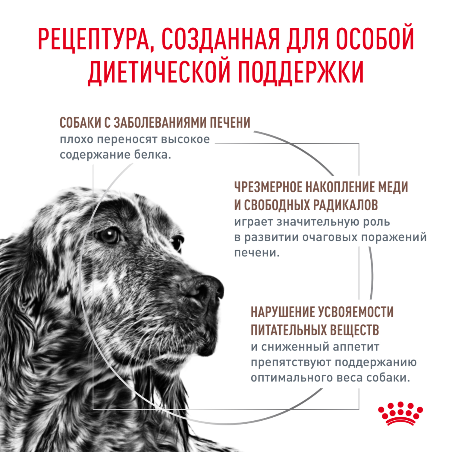 Корм для собак ROYAL CANIN Vet Diet Hepatic HF16 при заболеваниях печени, птица сух.