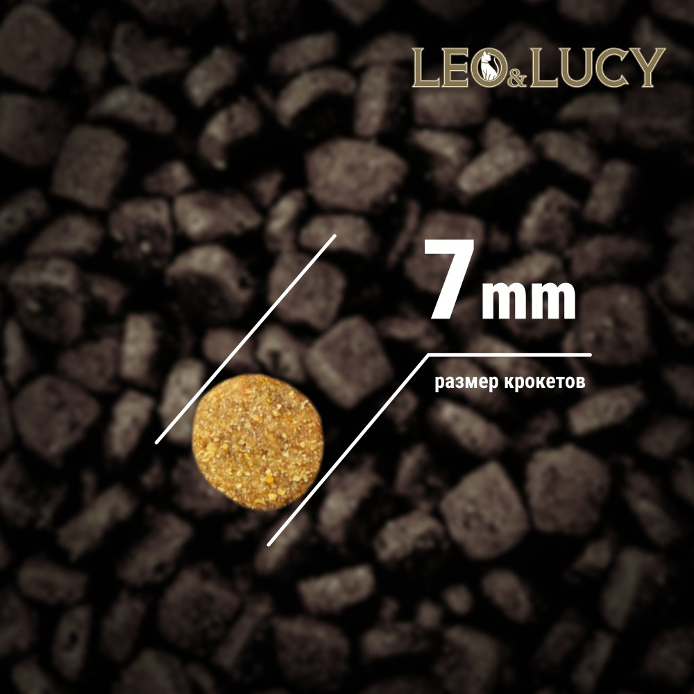 Корм для котят LEO&LUCY индейка с овощами и биодобавками сух.