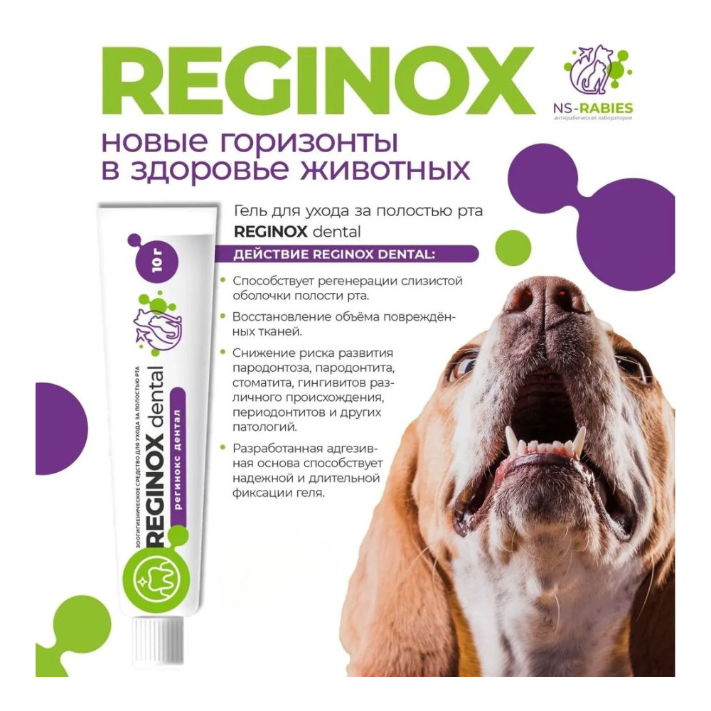 Гель стоматологический REGINOX, с хлоргексидином, 10г