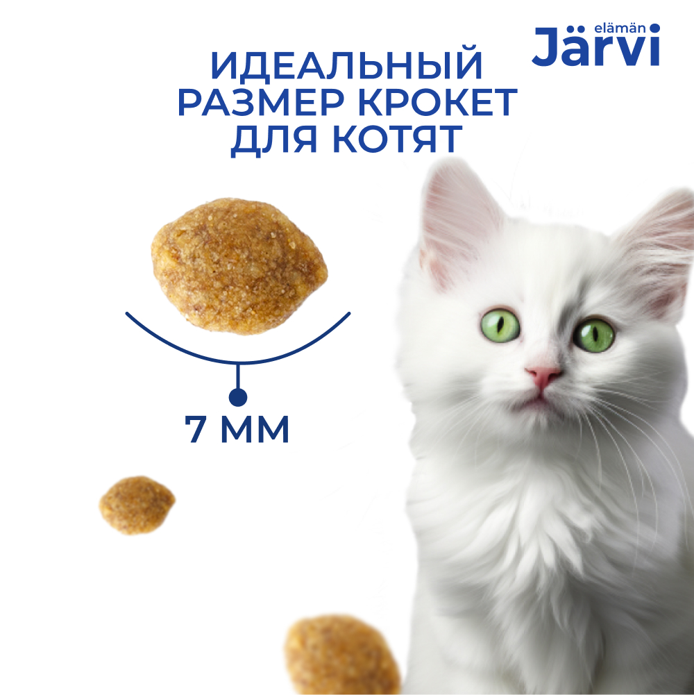 Корм для котят JARVI Индейка сух.