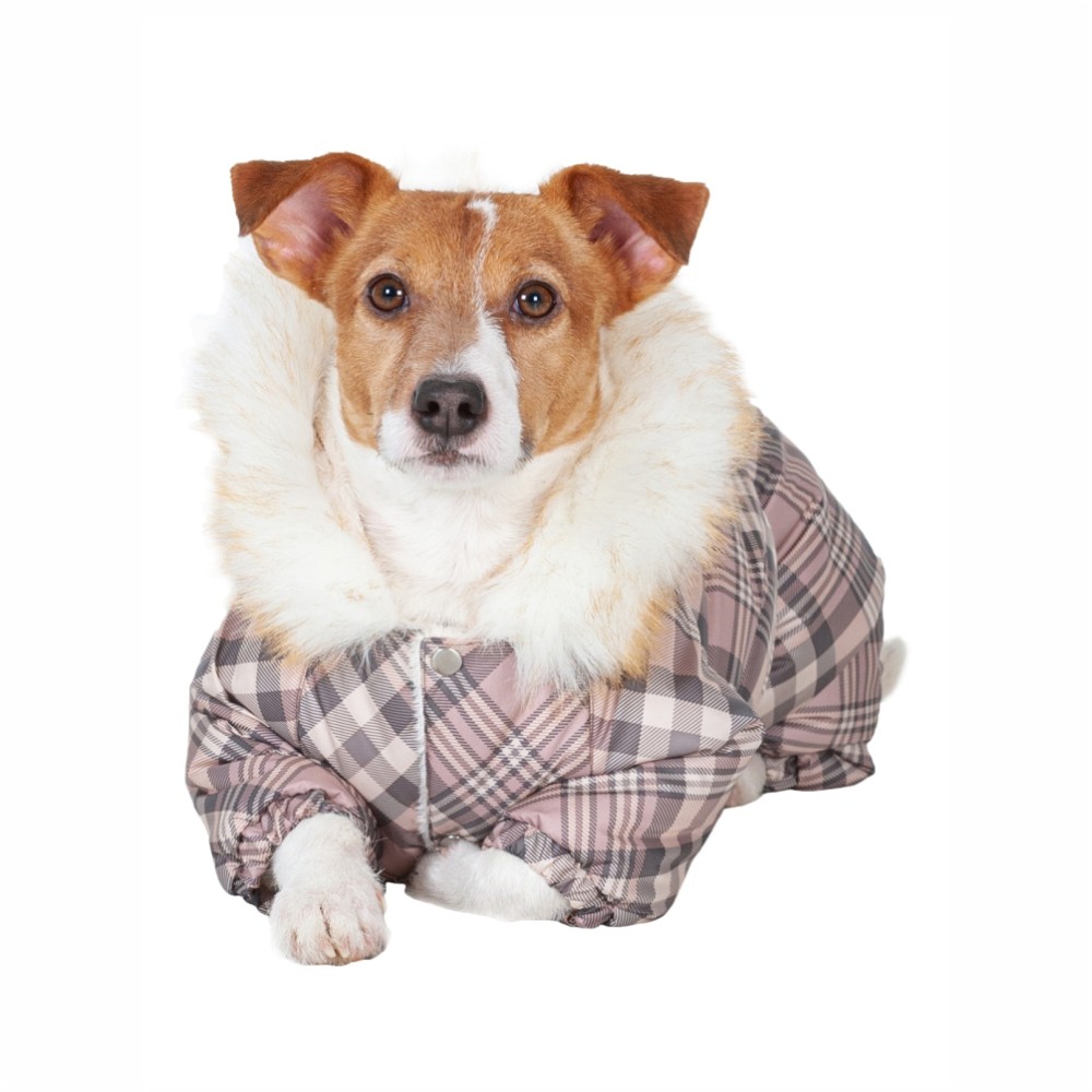 Комбинезон для собак DOGMODA Клетка зимний девочка, бежевый-5, спина 37см