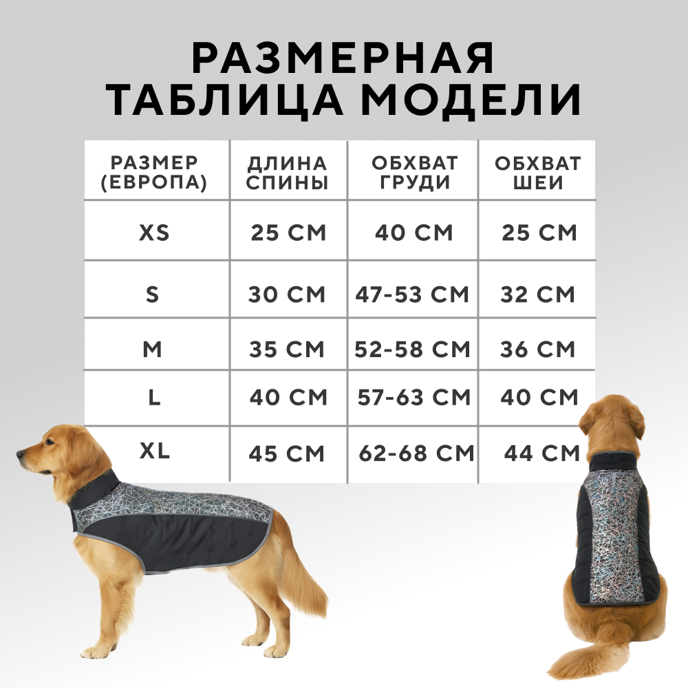 Попона для собак FOXIE Shine
