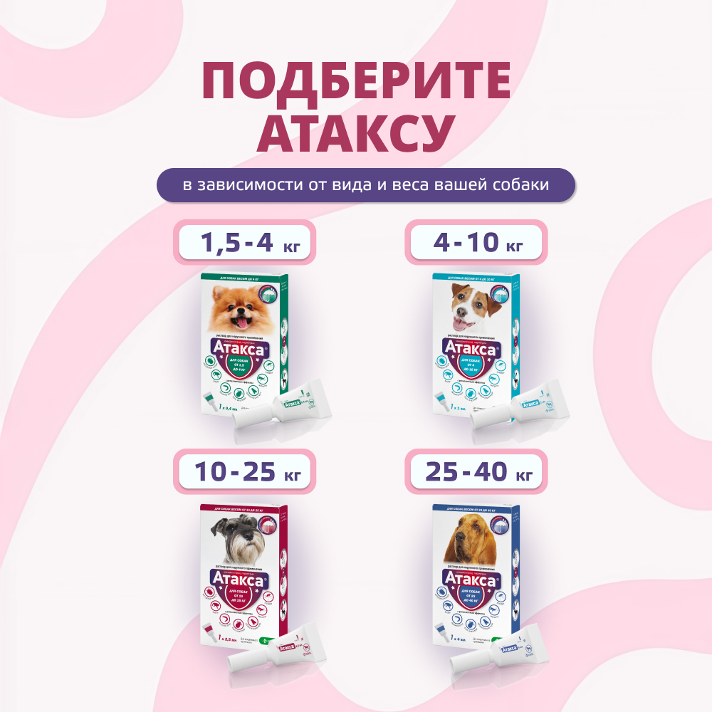 Капли для собак KRKA Атакса от иксодовых клещей, блох, вшей, власоедов (10-25кг веса) 2,5мл