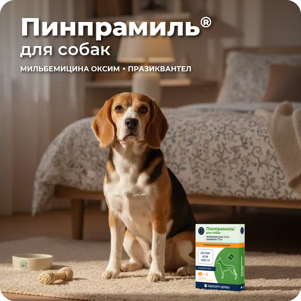 Антигельминтик VIC Пинпрамиль для собак весом более 5кг, 4 таб.
