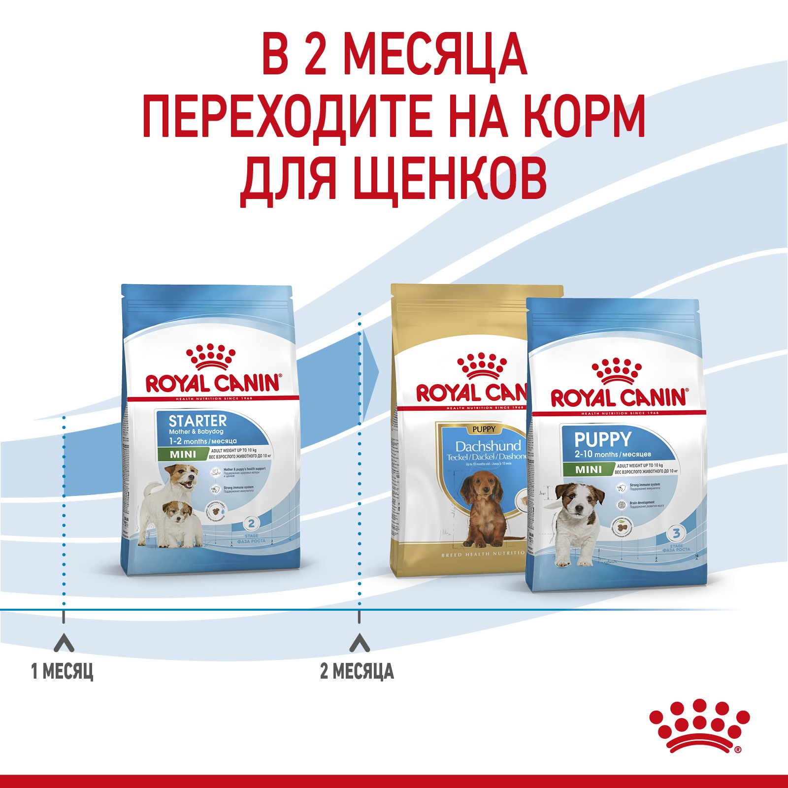 Корм для щенков, беременных и кормящих собак ROYAL CANIN Starter Mother&Babydog Mini для мелких пород сух.