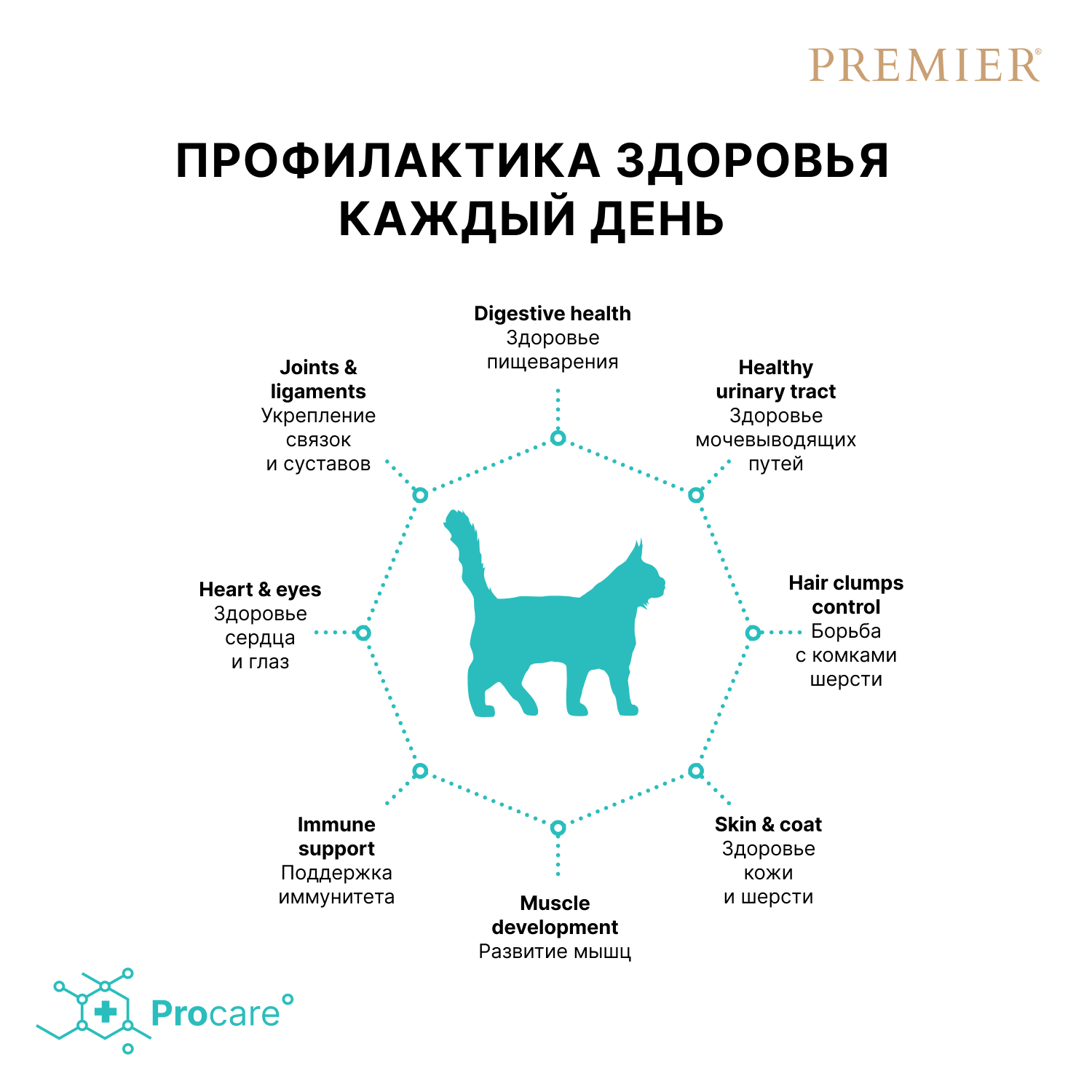 Корм для кошек PREMIER Cat для крупных пород, свежее мясо ягненка с индейкой сух.