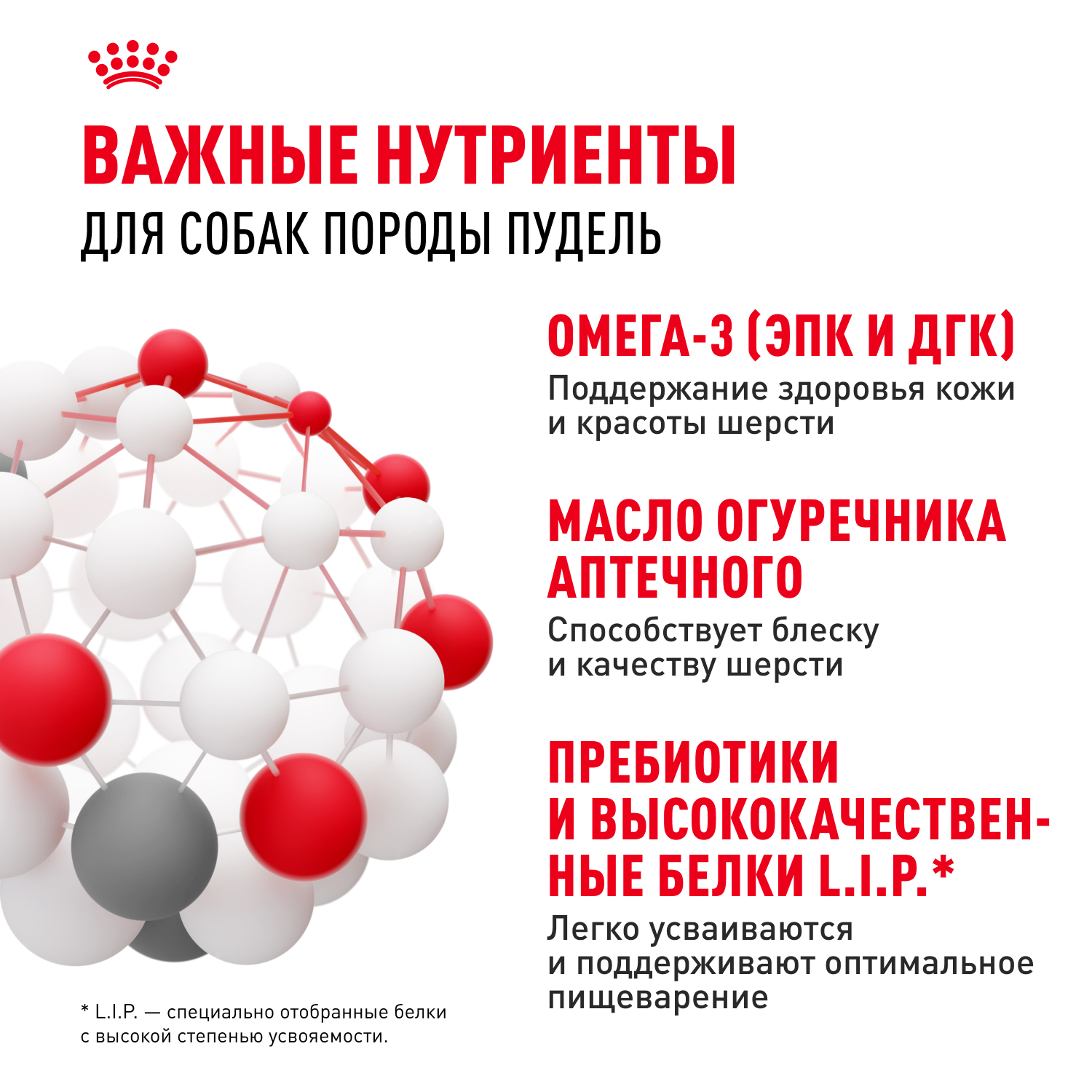 Корм для собак ROYAL CANIN Poodle для породы пудель от 10 месяцев сух.