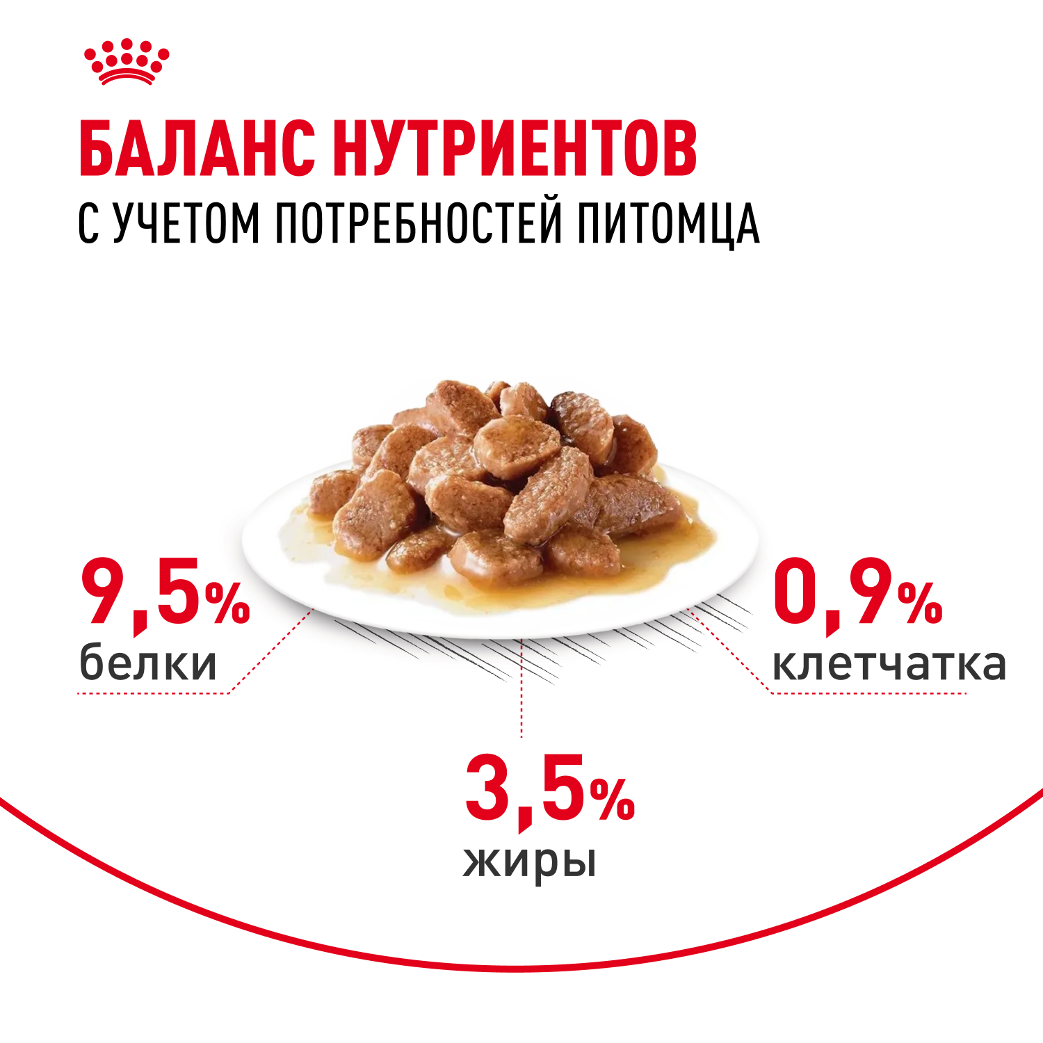 Корм для кошек ROYAL CANIN Digestive Care для здоровья пищеварительной системы (соус) пауч