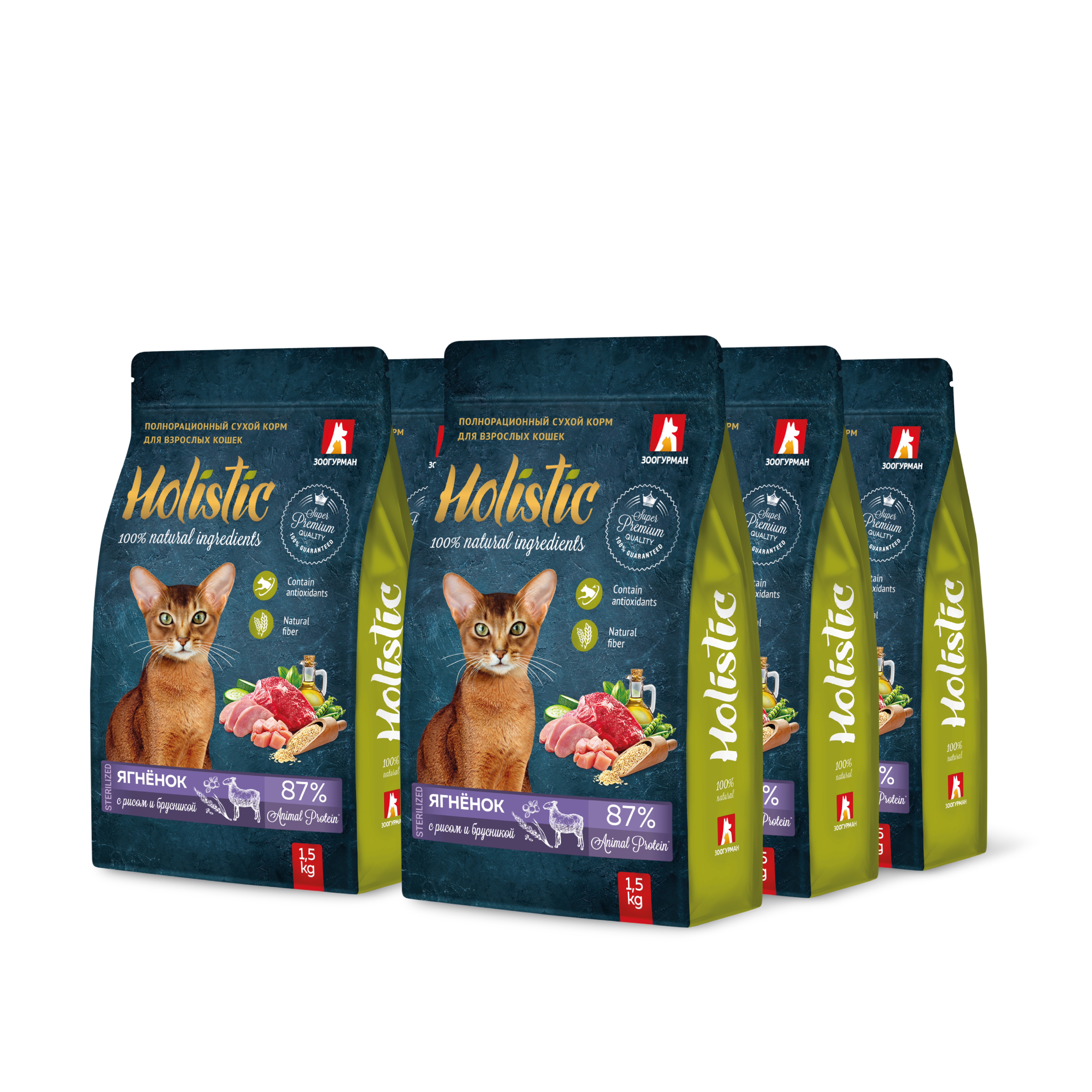 Корм для кошек ЗООГУРМАН Holistic ягненок с рисом и брусникой сух.