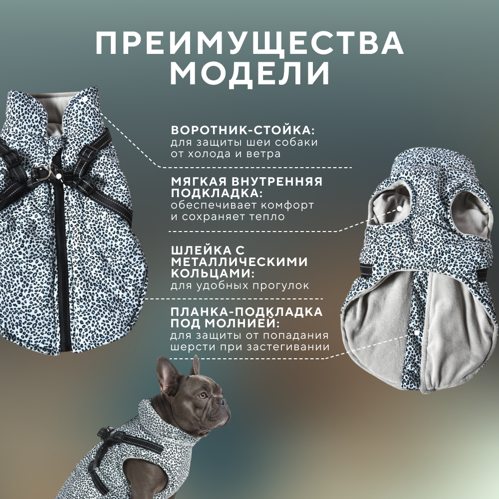 Куртка со шлейкой для собак FOXIE Noise разноцветная