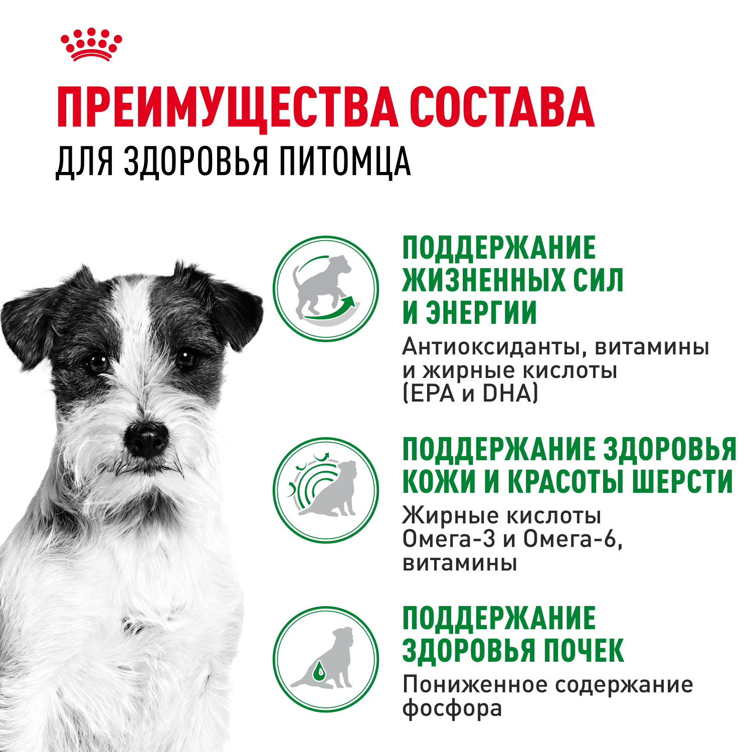 Корм для собак ROYAL CANIN Mini Ageing 12+ для стареющих, мелких пород пауч
