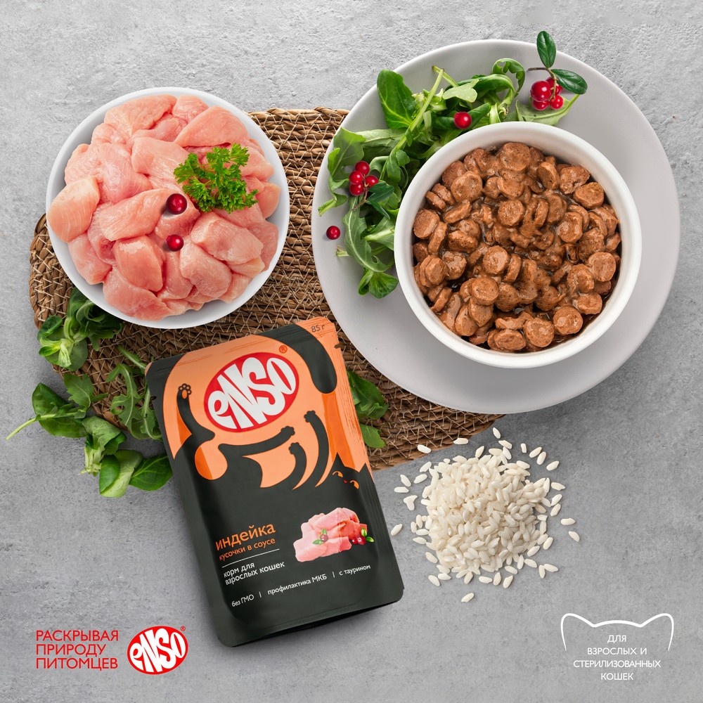 Корм для кошек ENSO кусочки в соусе с индейкой пауч