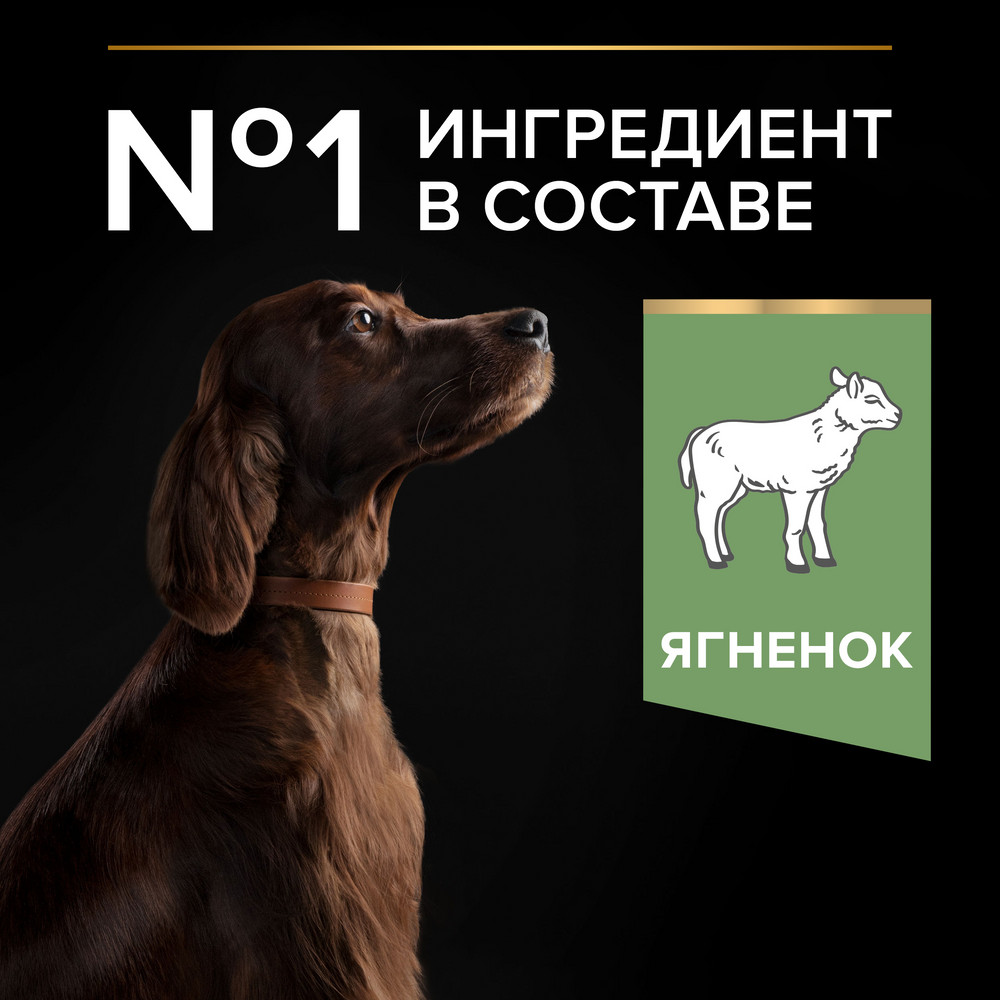 Корм для собак PRO PLAN Sensitive Digestion для крупных пород с атлет. телослож., ягненок сух.