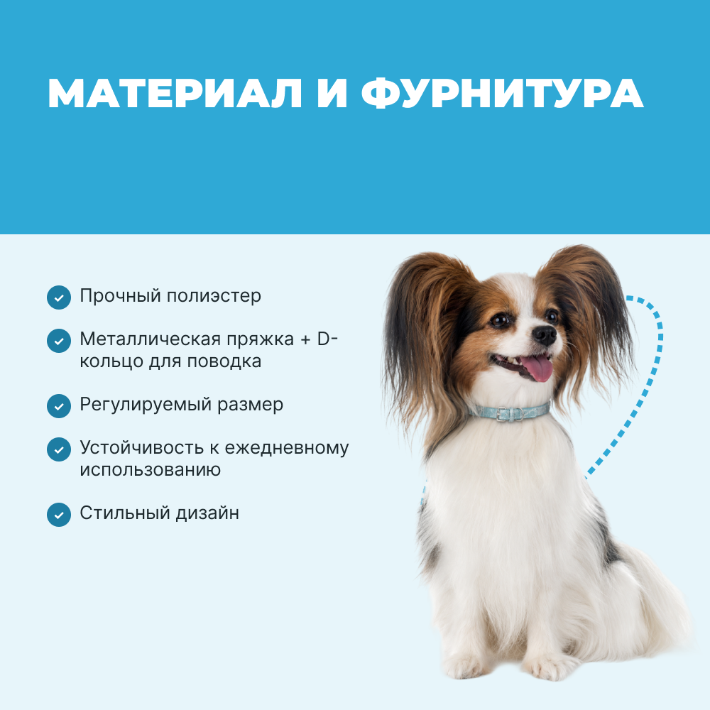 Ошейник для собак FOXIE Lily S 1,2х31см голубой