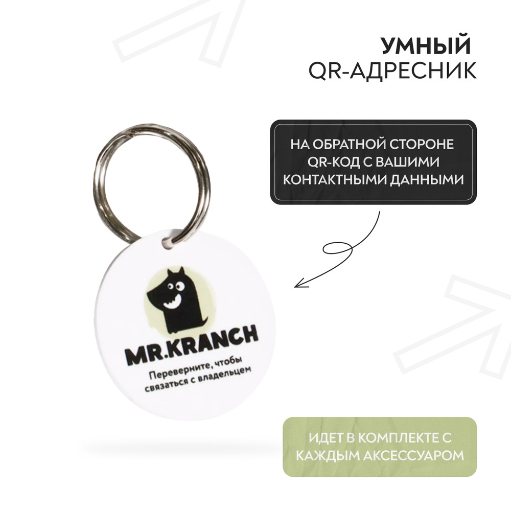 Ошейник для собак MR.KRANCH из натуральной кожи с QR-адресником, нежно-зеленый 22-26см