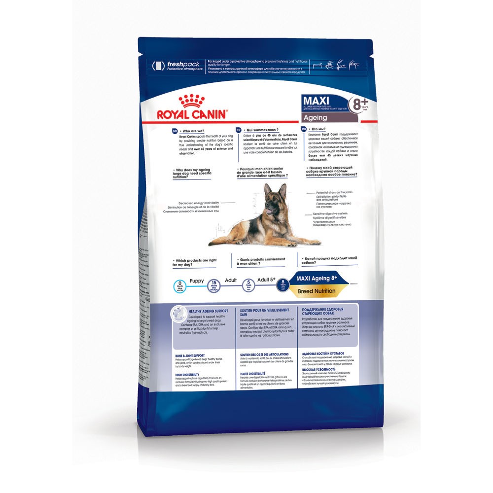 Корм для собак ROYAL CANIN Size Maxi Ageing для крупных пород старше 8 лет сух.