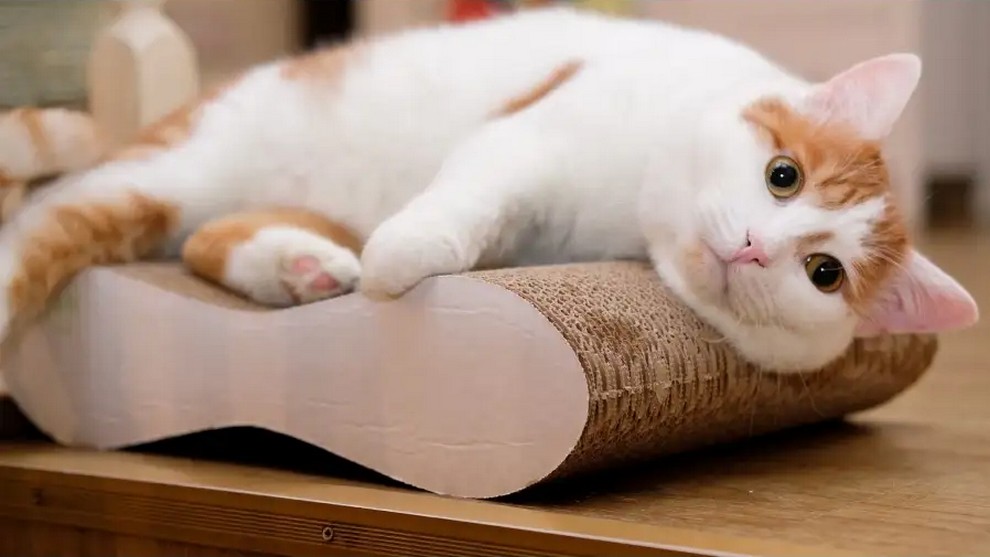 Когтеточка для кошек PETSIKI Infi S с кошачьей мятой картон, 39х29х9см
