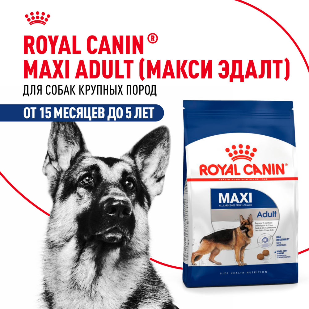 Корм для собак ROYAL CANIN Maxi Adult для крупных пород от 15 месяцев до 5 лет, сух.