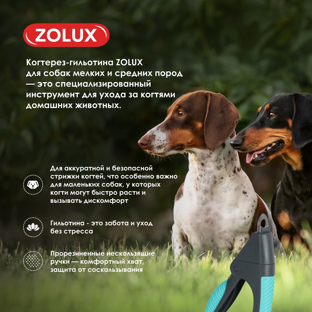 Когтерез-гильотина для собак ZOLUX для подрезания когтей, S