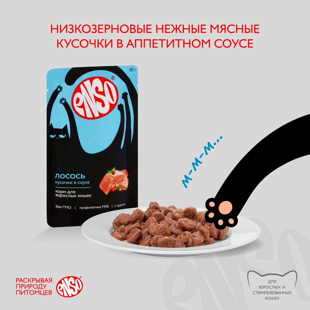 Корм для кошек ENSO кусочки в соусе с лососем пауч