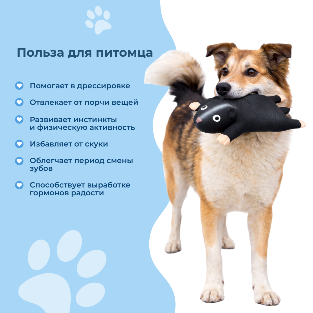 Игрушка для собак FOXIE Black bear 22x12x5см латекс