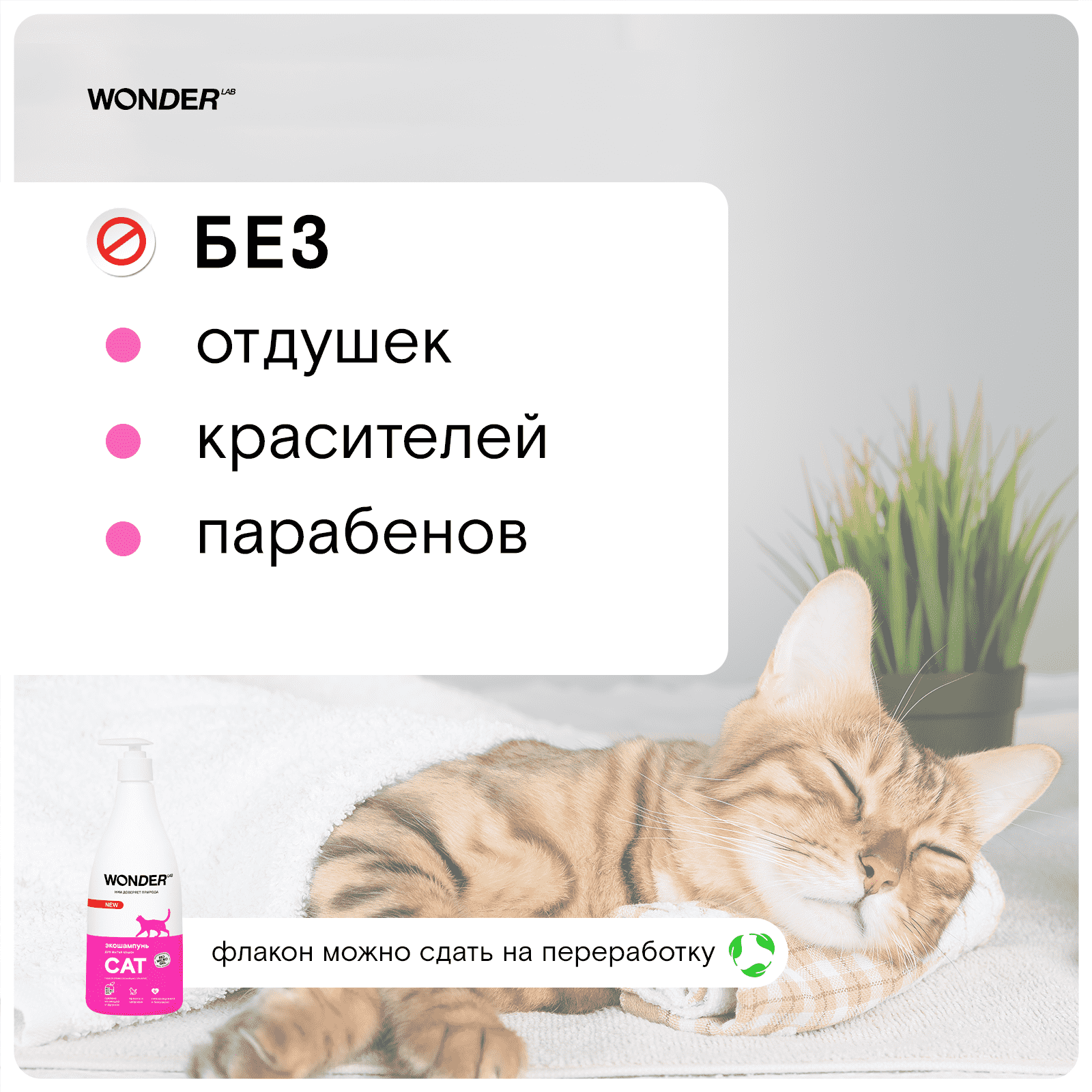 Шампунь для кошек и котят WONDER LAB экологичный, гипоаллергенный, без запаха 0,55л