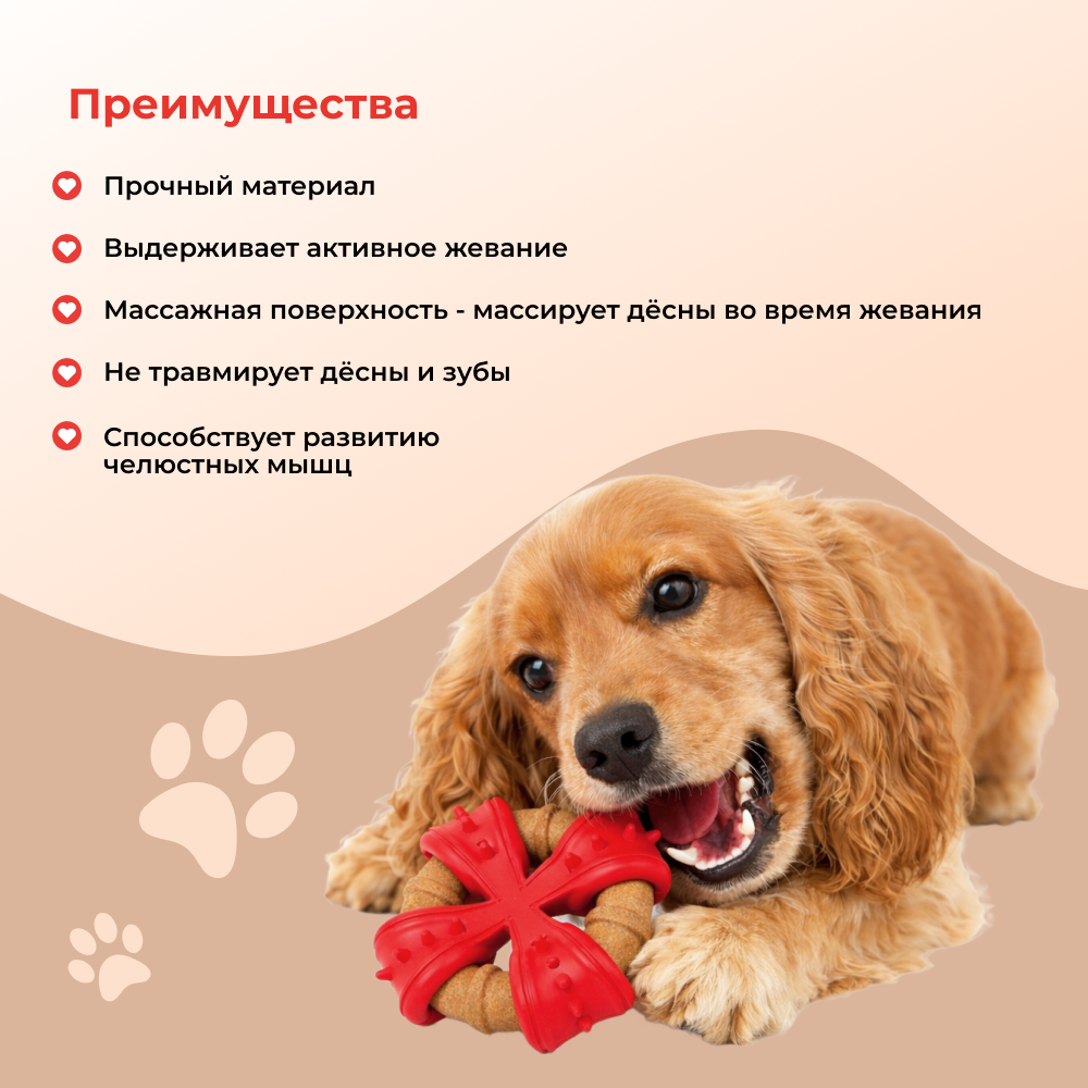 Игрушка для собак FOXIE Munch Cross массажная 12,5х12,5х4,5см