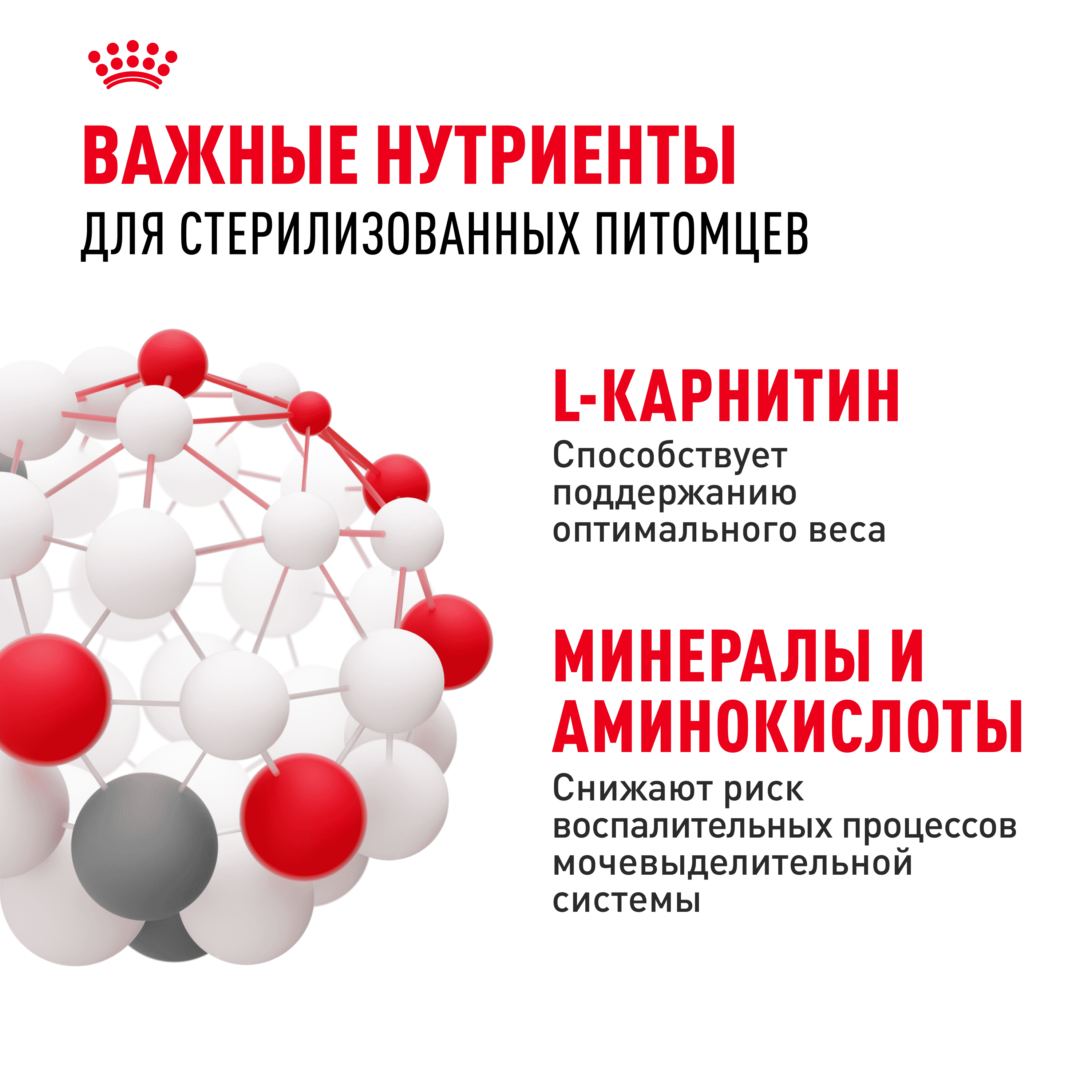 Корм для кошек ROYAL CANIN Sterilised 37 сбалансированный для стерилизованных сух.