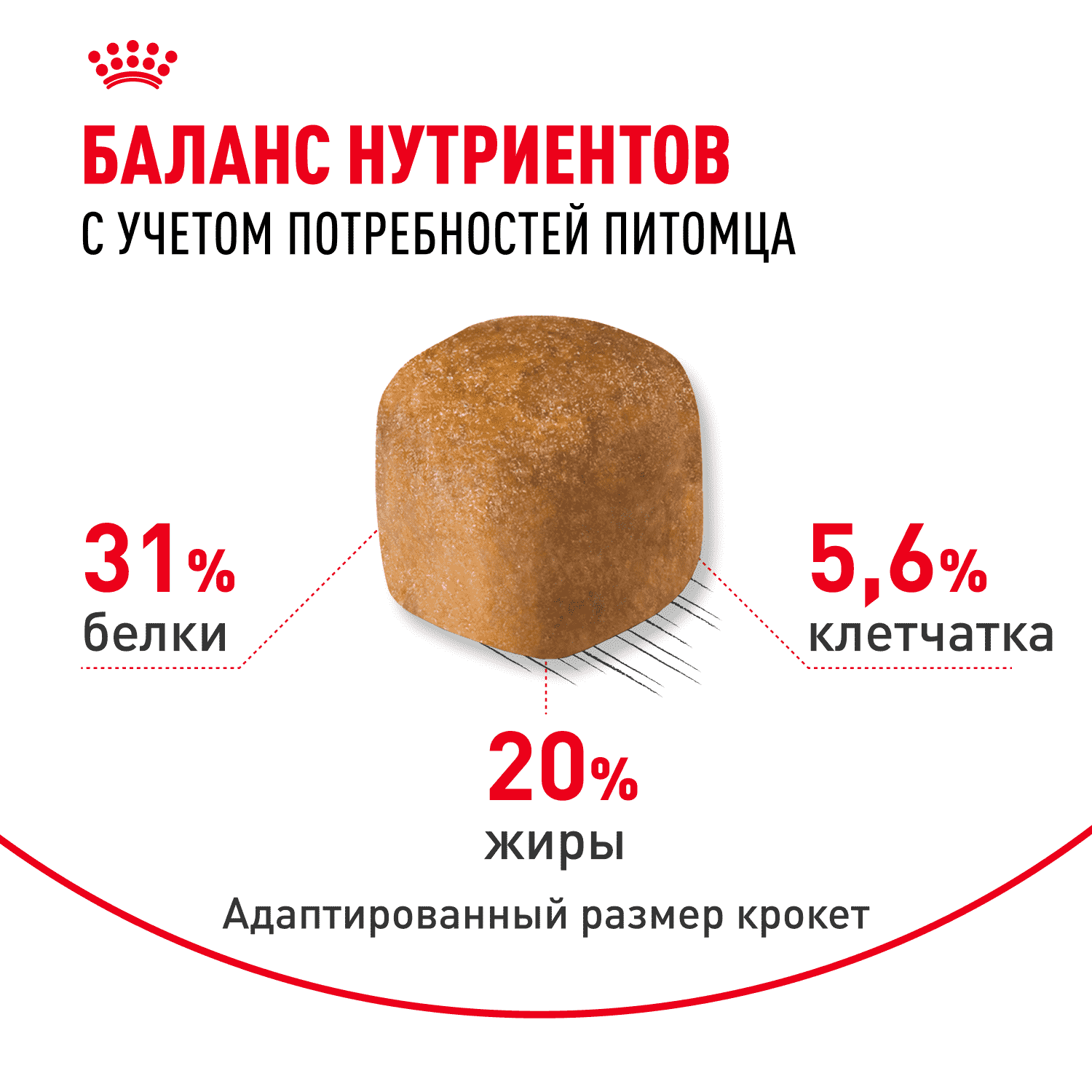 Корм для кошек ROYAL CANIN Maine Coon сбалансированный для породы мэйн кун сух.