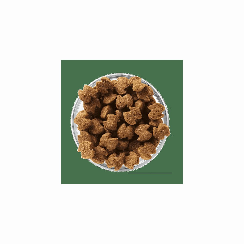 Корм для собак EUKANUBA для средних пород сух.