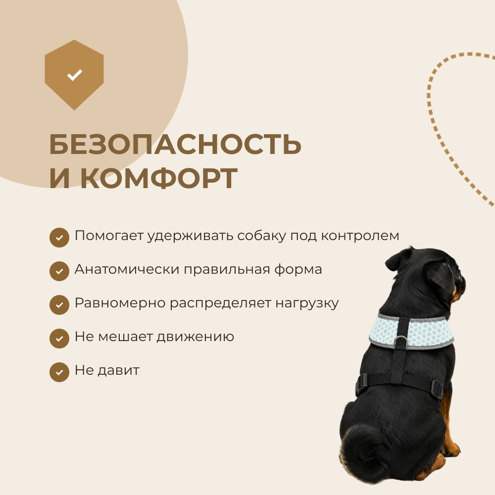 Шлейка для собак FOXIE Dots S (обхват шеи 28см, обхват груди 34-45см) голубая