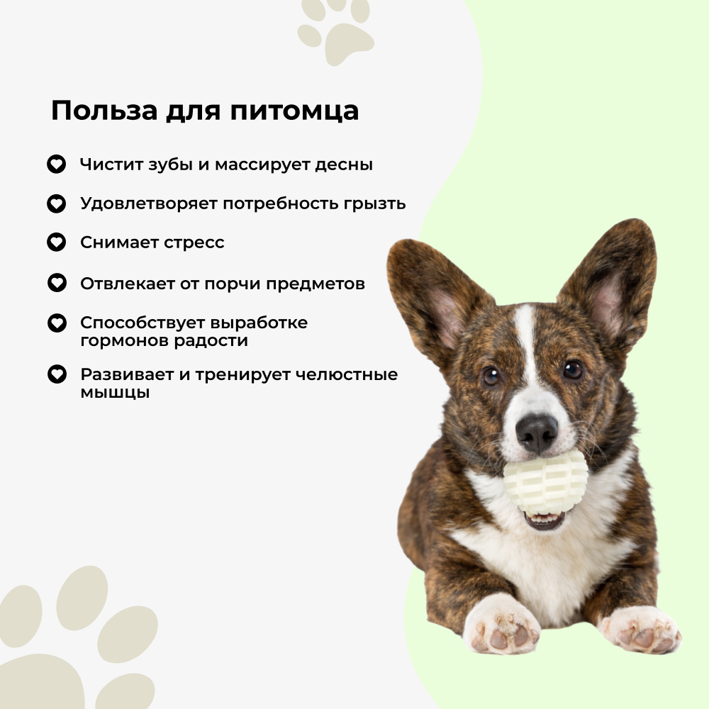 Игрушка для собак FOXIE Мяч светящийся в темноте 6,4см белый