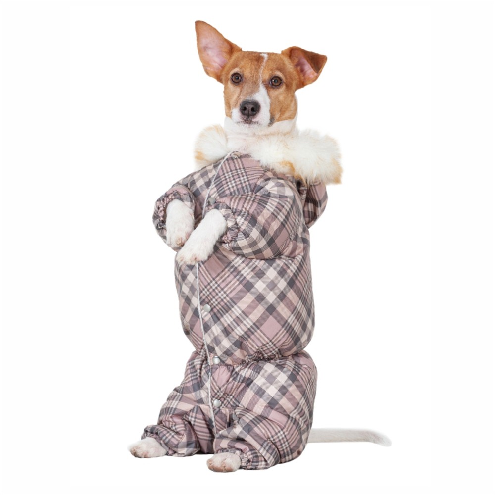 Комбинезон для собак DOGMODA Клетка зимний девочка, бежевый-5, спина 37см