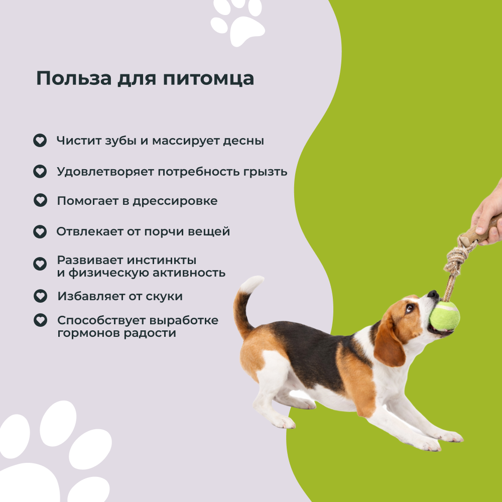 Игрушка для собак FOXIE Тяни-толкай Палочка из кофейного дерева с веревкой и мячом 34см