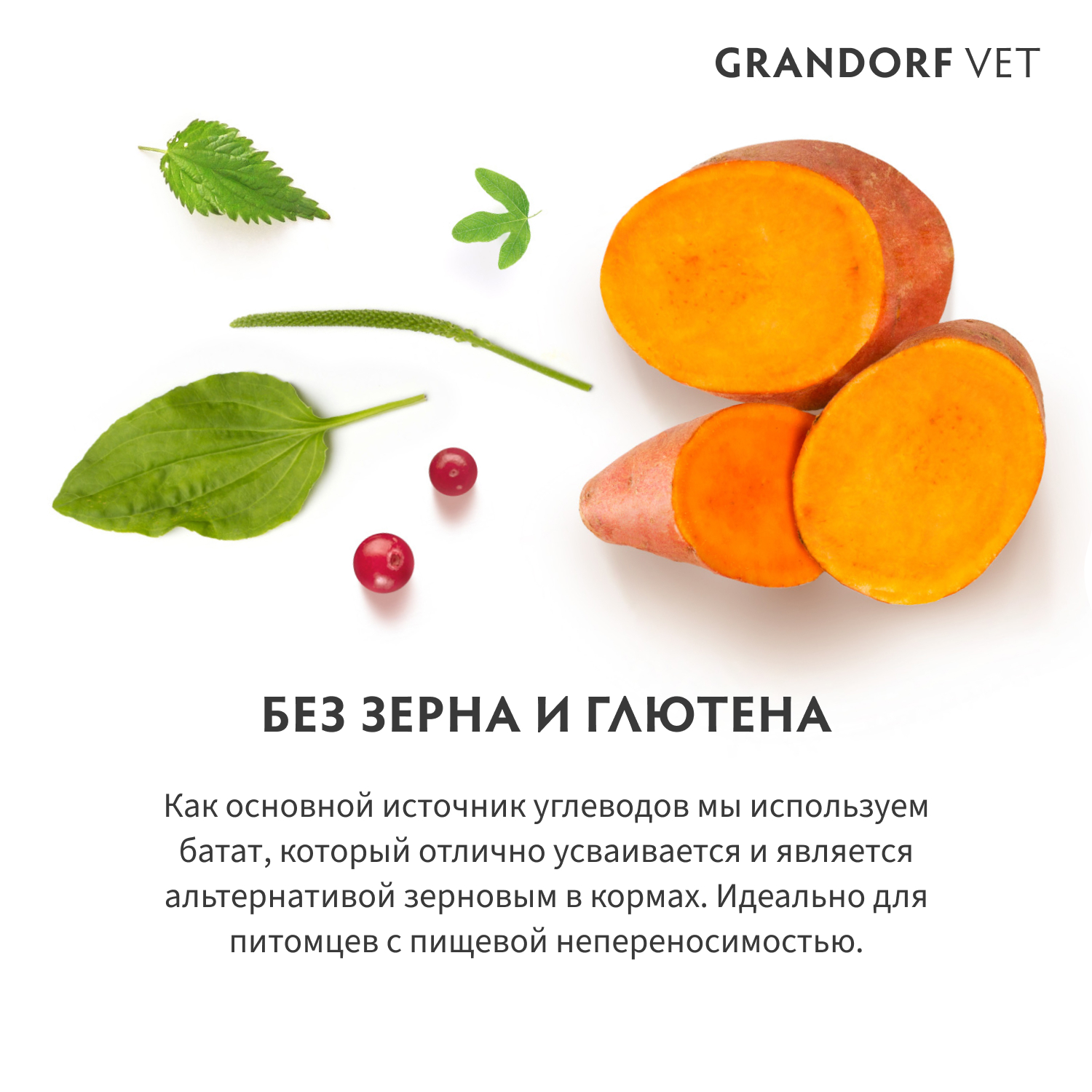 Корм для собак GRANDORF VETERINARY DIET Dog Gastrointestinal сух.