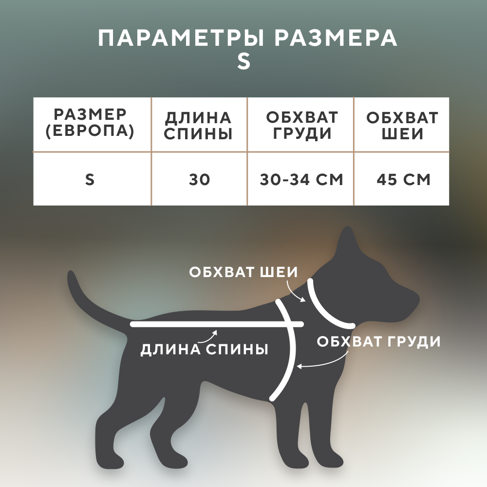 Комбинезон-дождевик для собак FOXIE Ray трансформер рыжий
