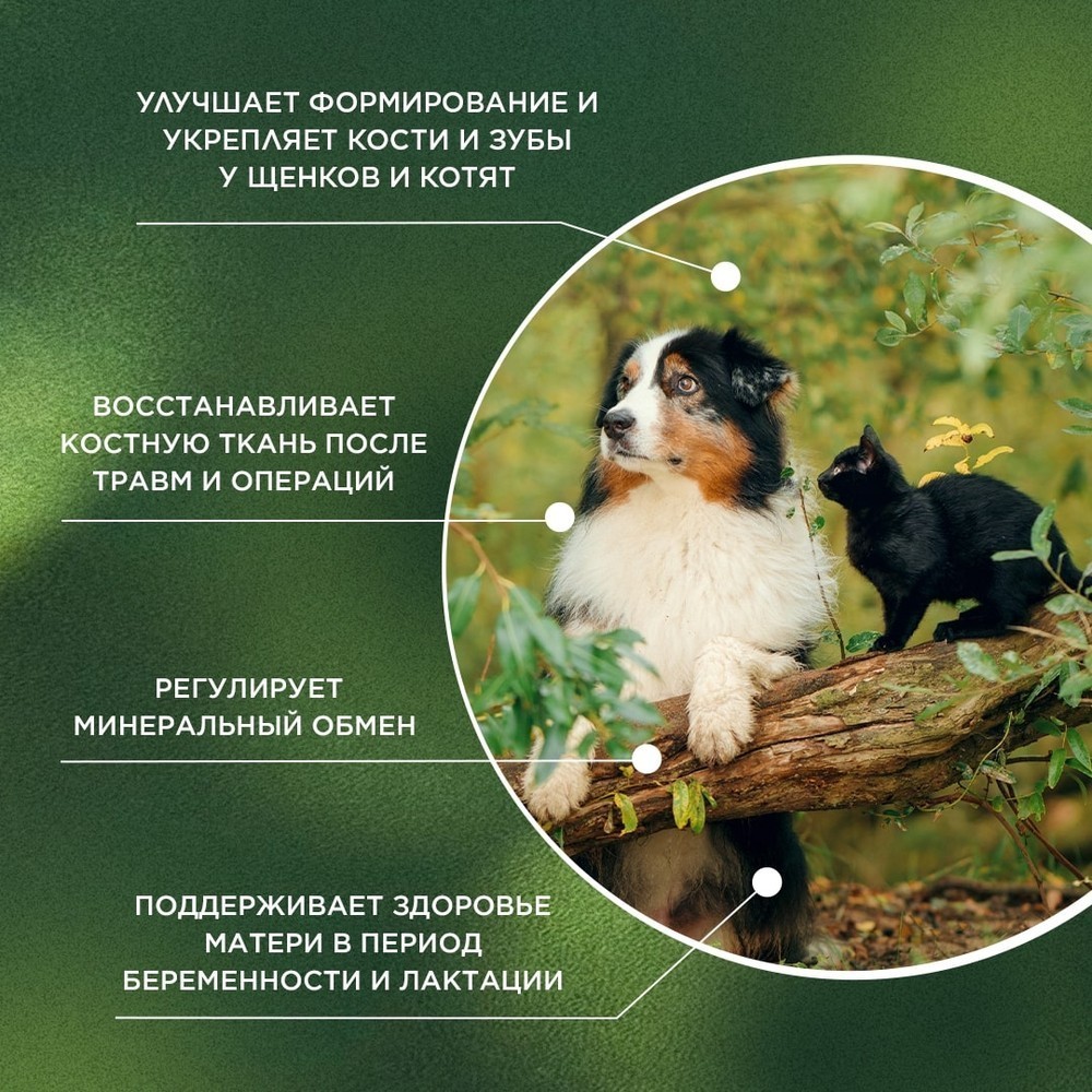Витамины для кошек и собак PROPHYTO Остеоплюс, 40таб