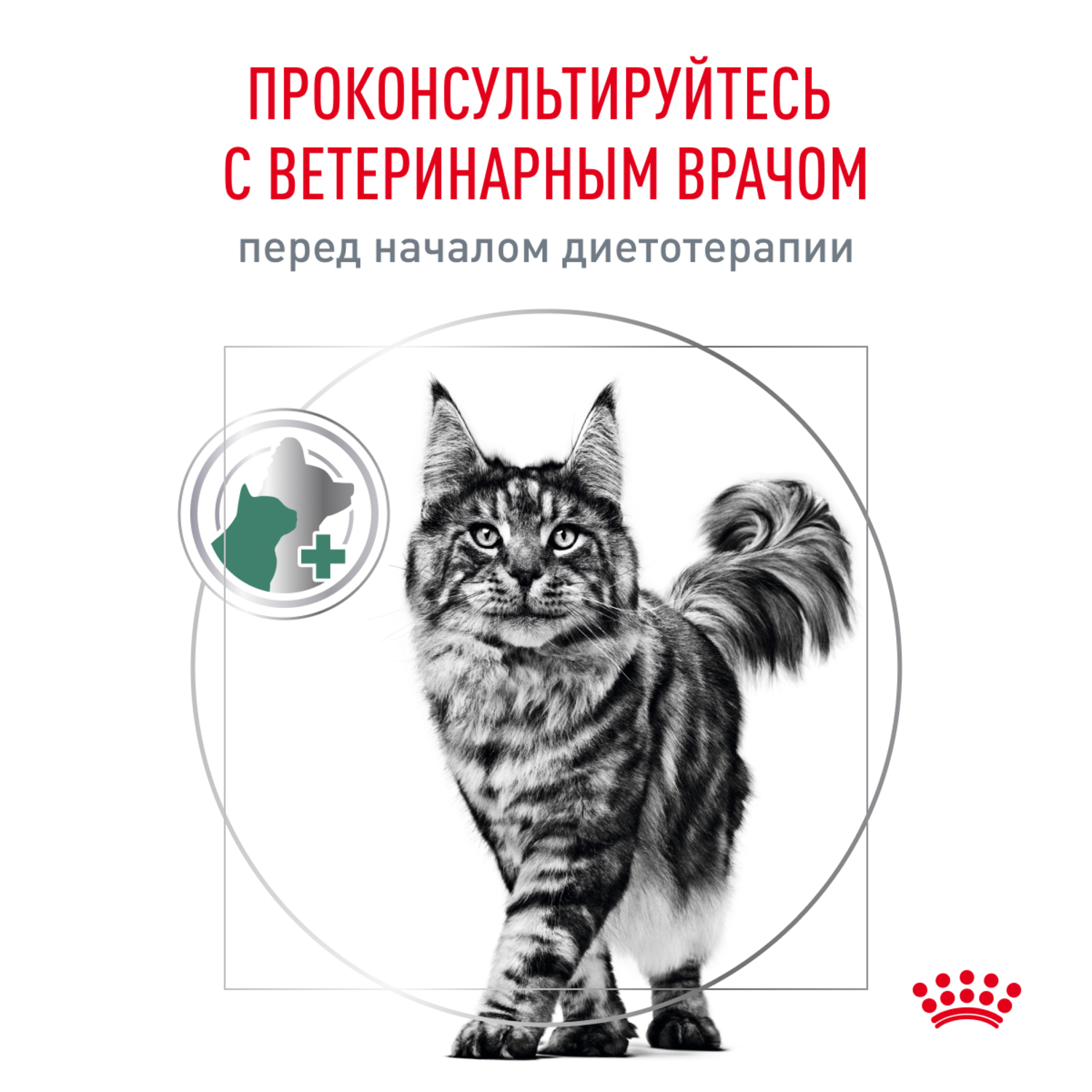 Корм для кошек ROYAL CANIN Satiety Weight Management рекомендуемый для снижения веса сух.