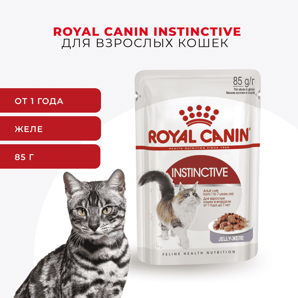 Корм для кошек ROYAL CANIN Instinctive мясо в желе, пауч