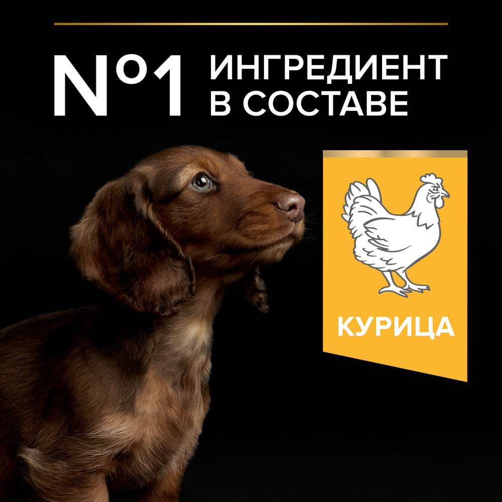 Корм для щенков PRO PLAN Healthy Start для мелких и карликовых пород, с курицей сух.