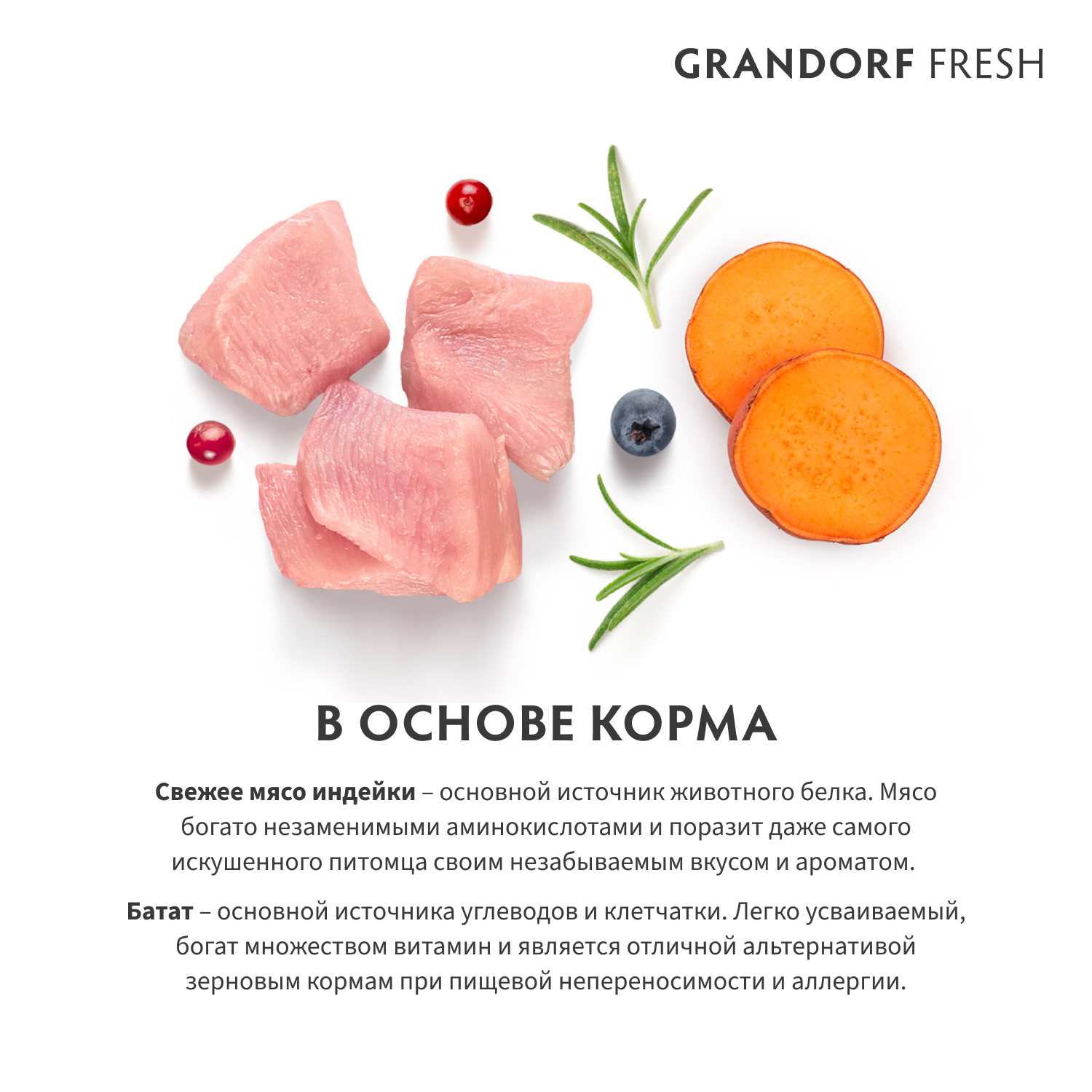 Беззерновой корм с живыми пробиотиками для кошек GRANDORF Fresh Cat Свежее мясо индейки с бататом сух.